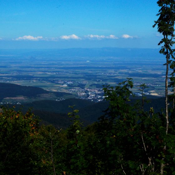 View across the Alsace plain to Germany