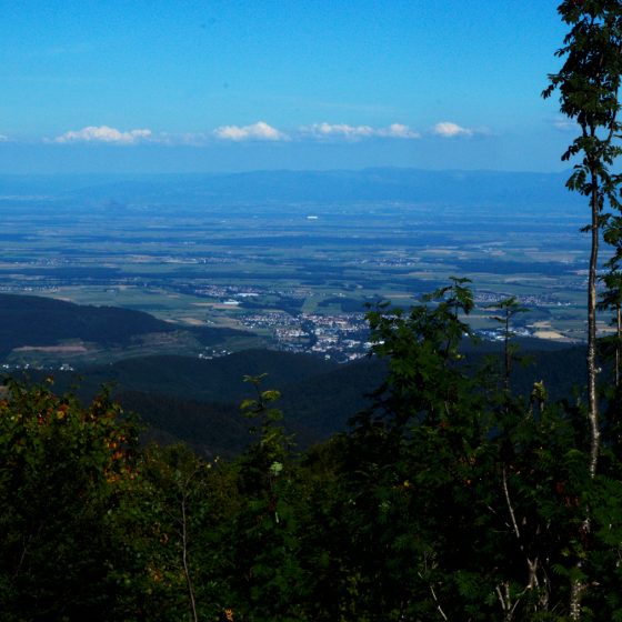 View across the Alsace plain to Germany