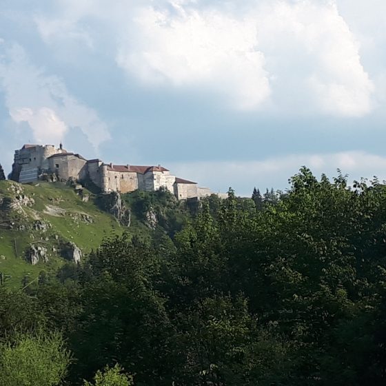 Chateau de Joux