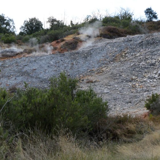 Steam rising Thermal site Sasso Pisano