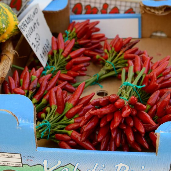 Verona Piazza Erbe market chillis