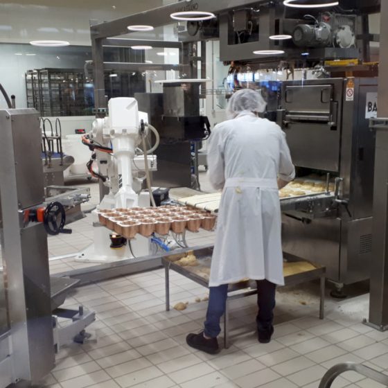 Pannetone production - Eataly World