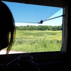 New view out of motorhome window