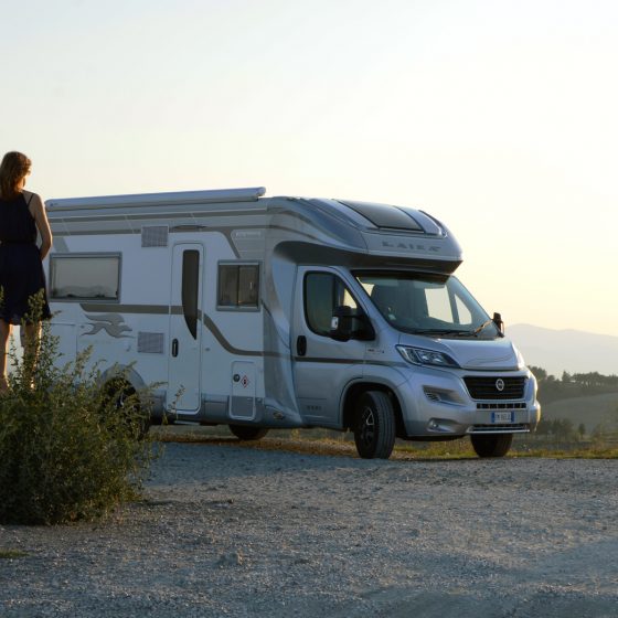 Tuscany Marcella and Buzz