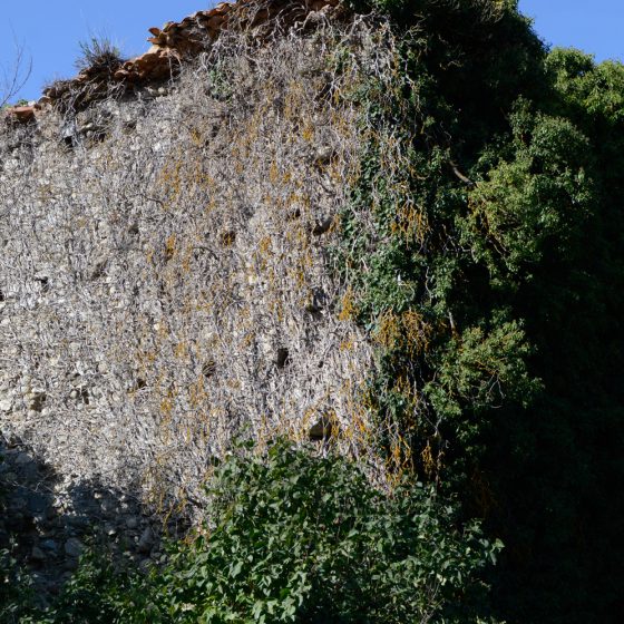 An old abandoned Convent in Sospel