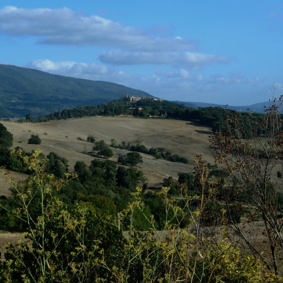 Tuscany Scene