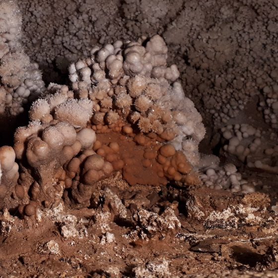 Aragonite crystal covered nodules