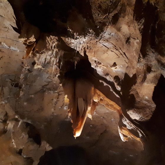 Tooth like growth in the Toirano caves