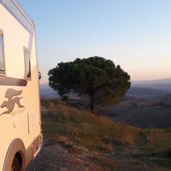 Buzz basking in the warm Tuscan afternoon glow