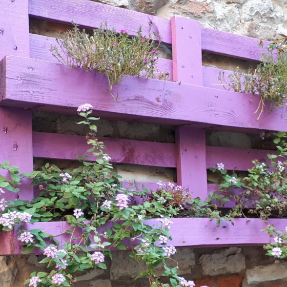 Window box in Sassetta