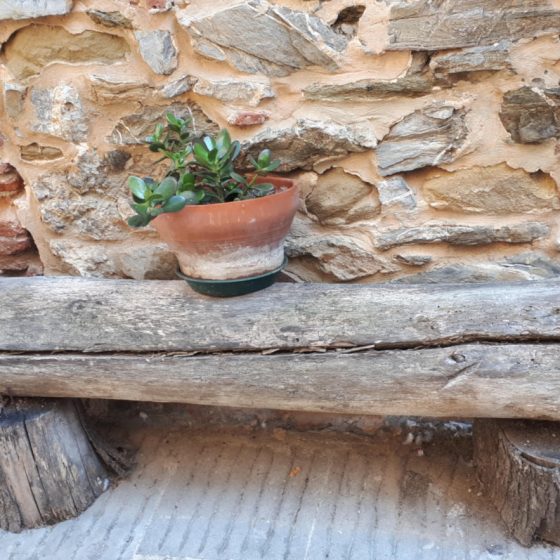 Bench in a narrow street in Sassetta