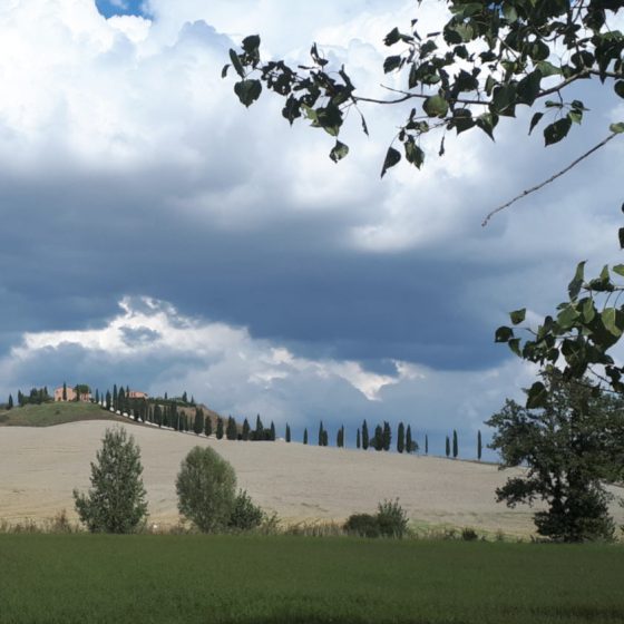 Tuscan landscape and cypress trees