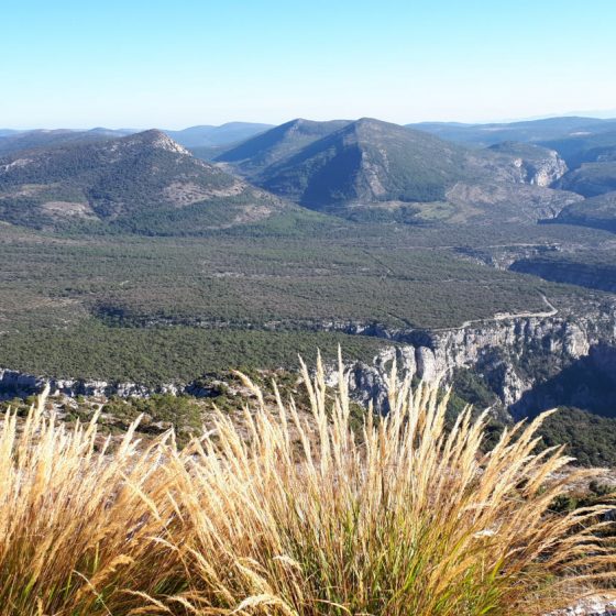 Views over the plateau on top of the Verdon gorges