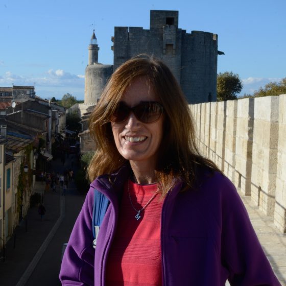 Aigues-Mortes - Ramparts with Tour de Constance in background