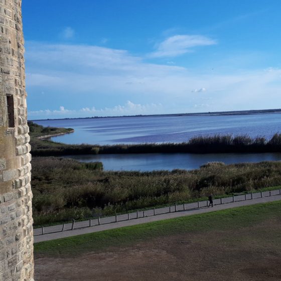 Lagoons next to the walls of Aigues-Mortes