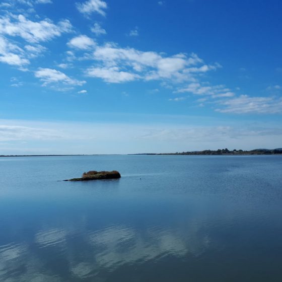 Etang des Moures, Villeneuve les Maguelone