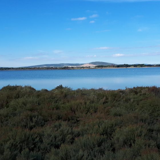 View across the Camargue lakes