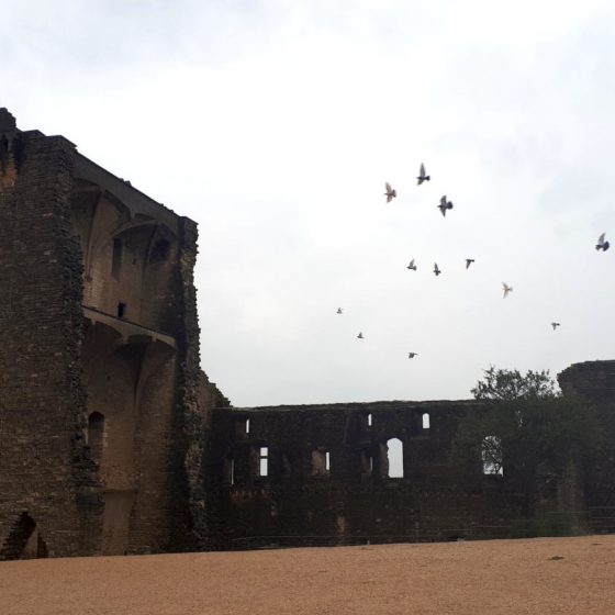 Birds flying over the Chateauneuf-du-Pape ruins