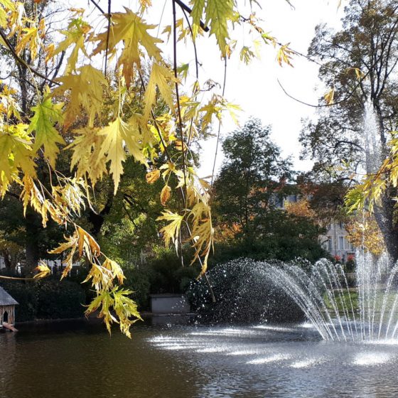 Jardin Lecoq fountain and pond, Clermont-Ferrand