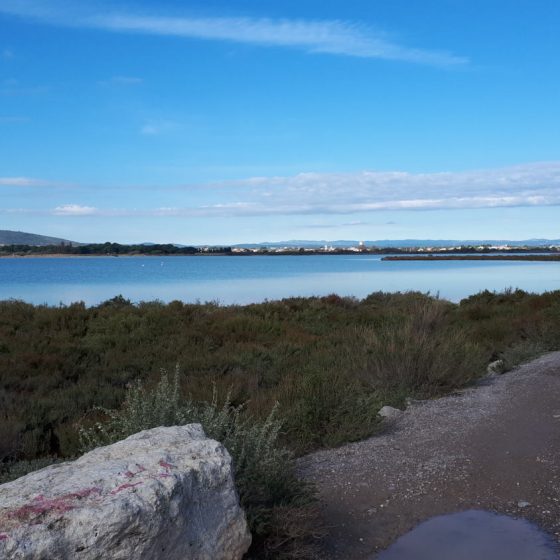 Etang du Prevost, Camargue