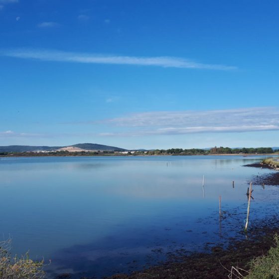 One of the etangs (lagoons) at Villeneuve-les-Maguelene, Camargue