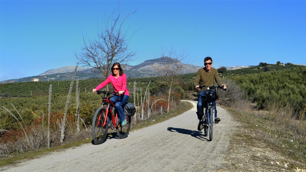 Cabra - Cycling through Olive groves