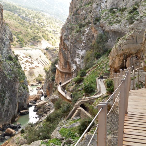 The boardwalk at the start of the walk