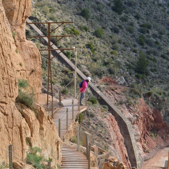 Peering over the edge of the boardwalk