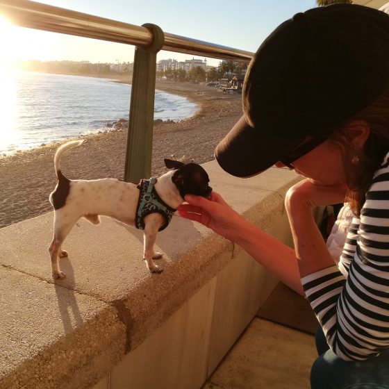 Estepona - Cella with the Tiny Dog