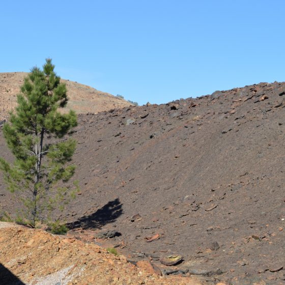 Rio Tinto - slag heap with lone tree