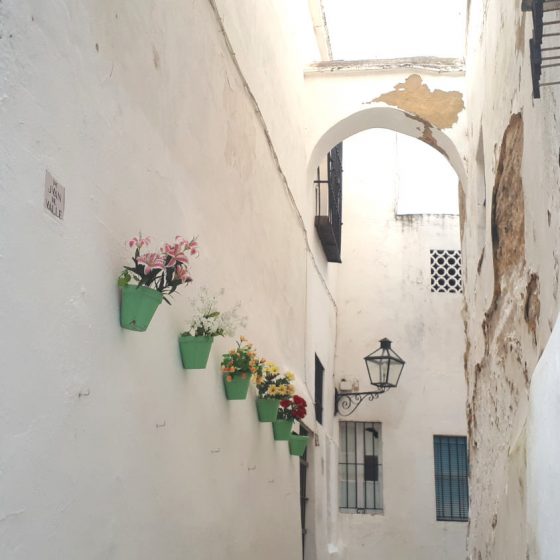 Flowers brightening up the whitewashed town of Arcos de la Frontera