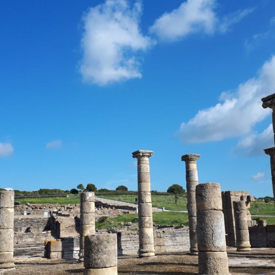 Baelo Claudia - Some restored columns