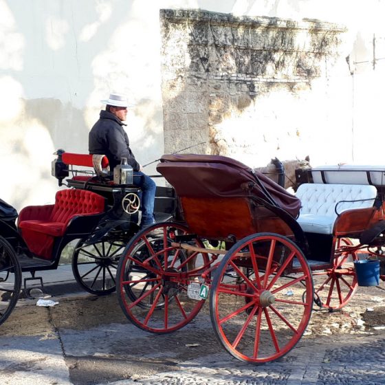 Horse and cart city tours