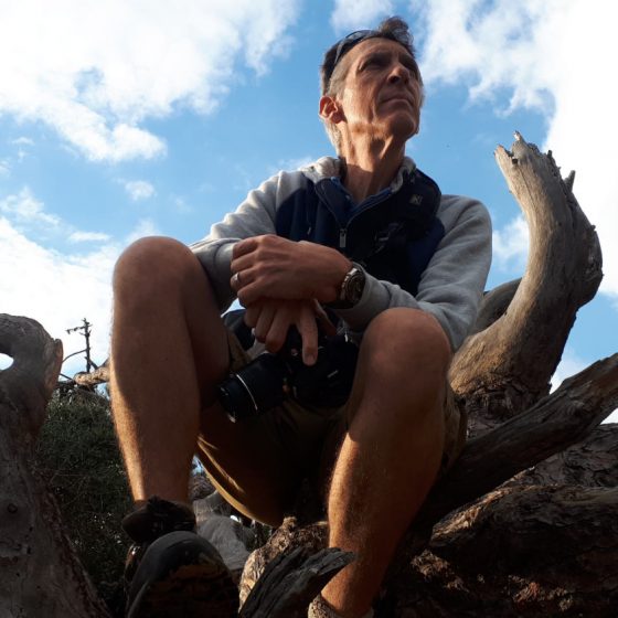 Barbate - Taking a break in a tree stump