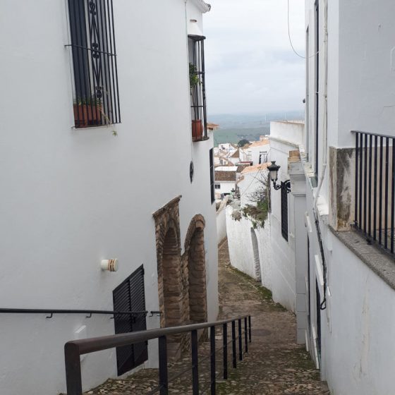 Typical pueblos blancos steep, narrow, cobbled and slippery street!