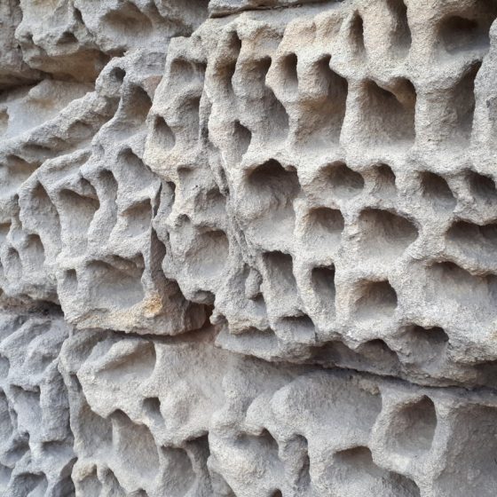 The weathered walls of the abbey