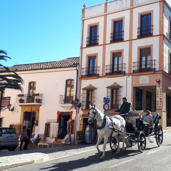 A horse coming from the old part of Ronda going towards the bridge