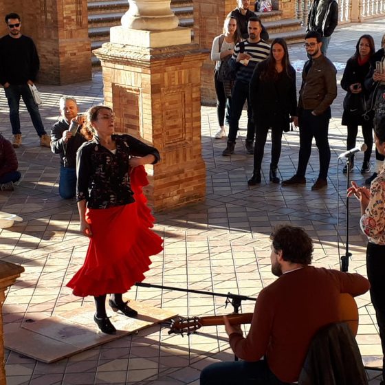 Flamenco dancer performing in the Plaza de Espana