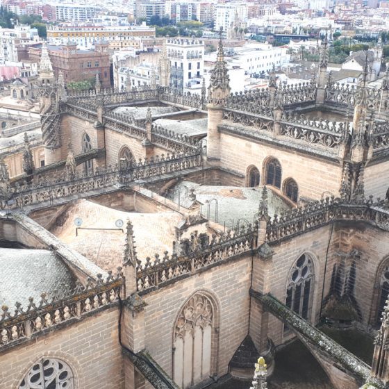 View from the Giralda tower over the cathedral rooftops