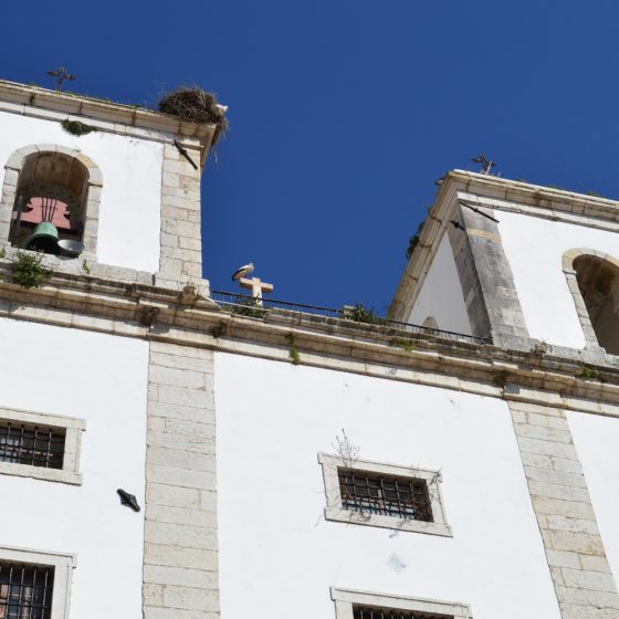 Alcacer - Storks making the most of church roof & Cross