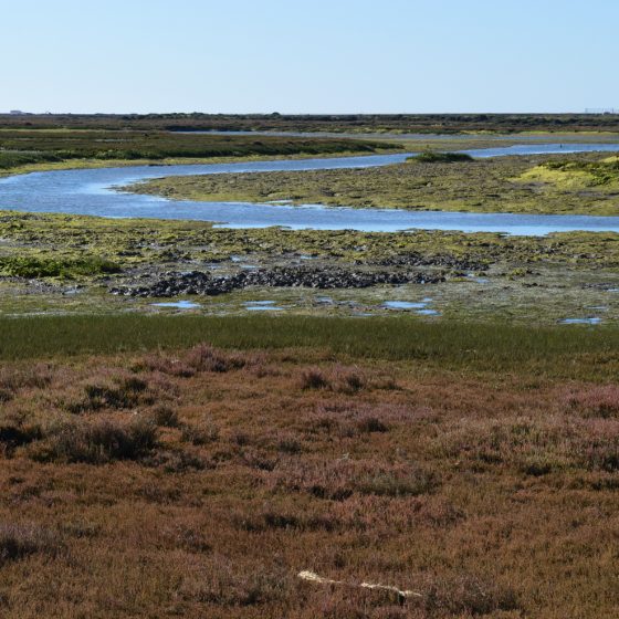 Algarve Faro - Tidal salt marshes