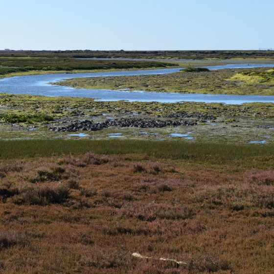 Algarve Faro - Tidal salt marshes