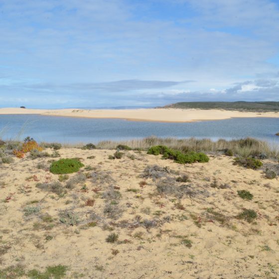 Algarve West - Praia da Bordeira view