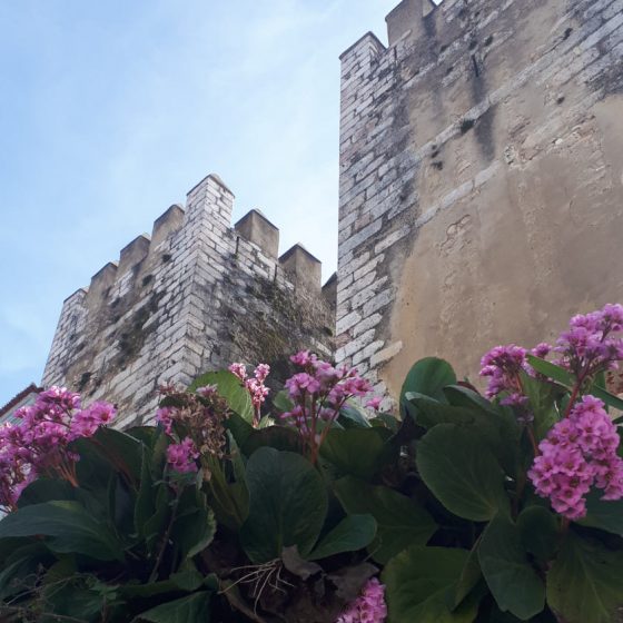 Tower of the castle at Estremoz