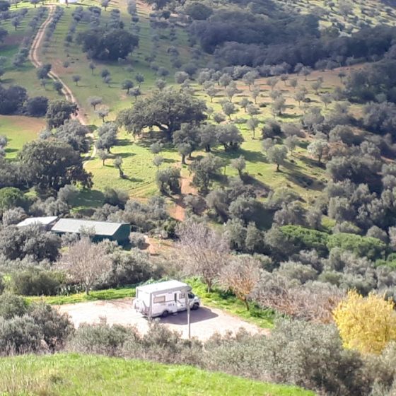 Looking down on Buzz from the hill at Evoramonte