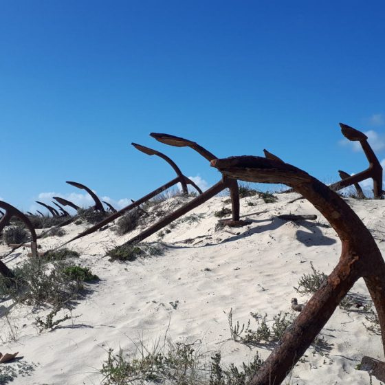 Where anchors go to rust! Anchor graveyard at Barrill beach.