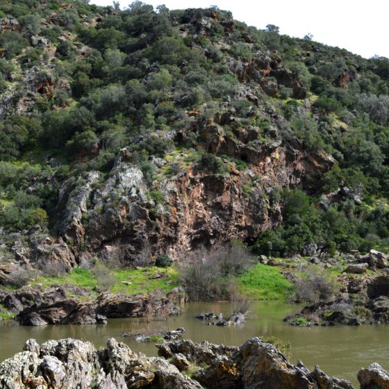 Guadina River opposite bank