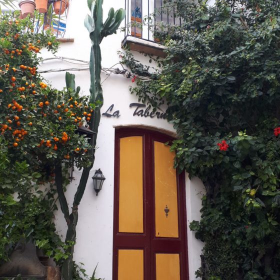 Brightly painted doorway and plants caught our eye