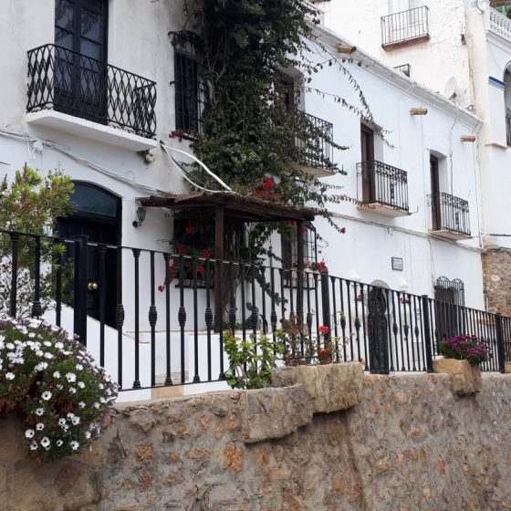 Mojacar white washed terrace with pretty plants