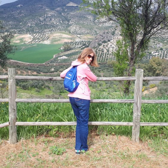 Olive groves in Olvera